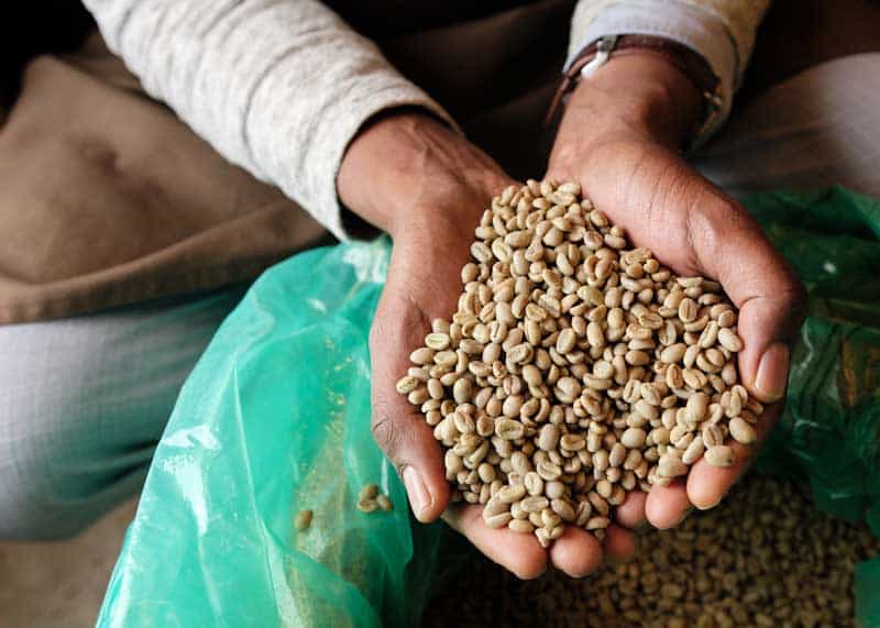 Ethiopian Coffee as a Stopover Experience in Addis Ababa